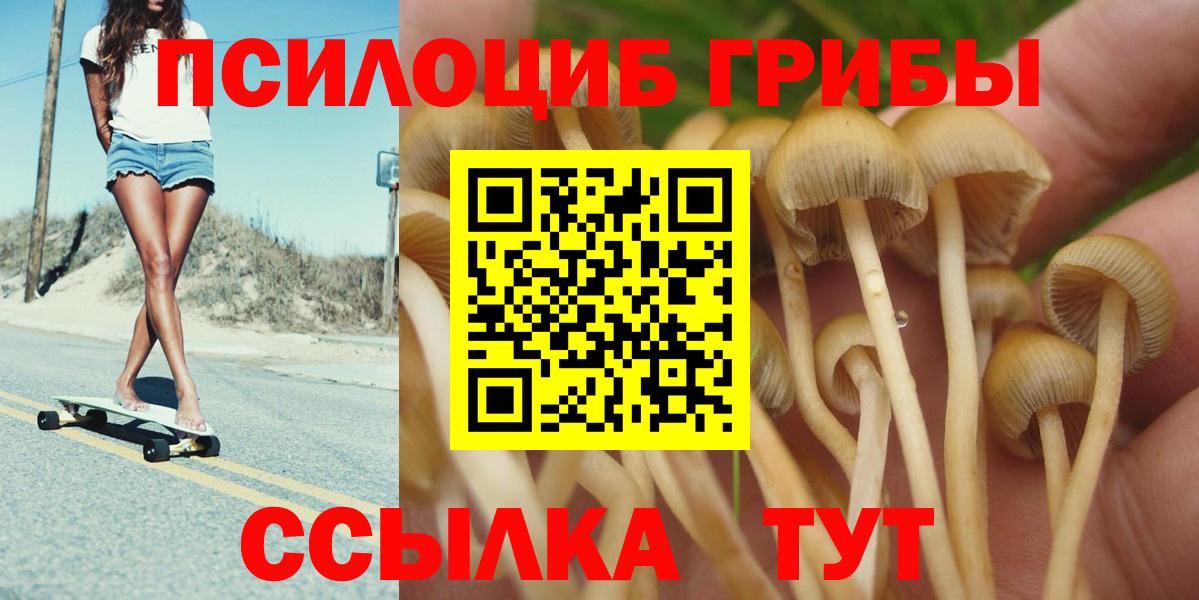 закладки  Псилоцибиновые грибы GOLDEN TEACHER  Вход с VPN  Лабытнанги 